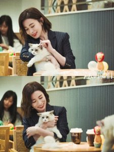 《今天的她们》佘诗曼20多年,吻戏最多的一部剧