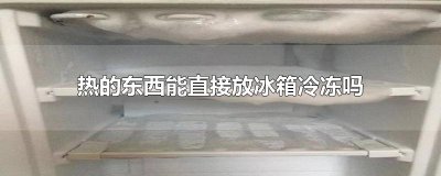 ​热的东西能直接放冰箱冷冻吗