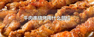 ​牛肉串烧烤用什么部位