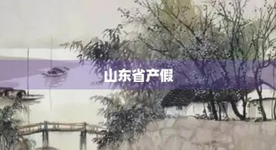 ​山东省产假(山东省产假工资新政策)