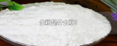 ​生粉是什么粉?