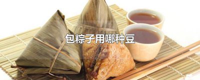 ​包粽子用哪种豆