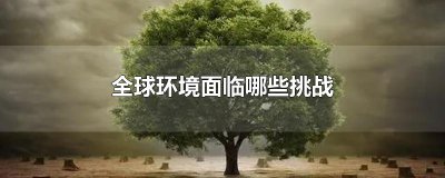 ​全球环境面临哪些挑战