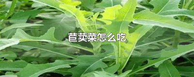 ​苣荬菜怎么吃