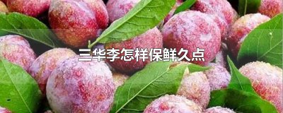 ​三华李怎样保鲜久点