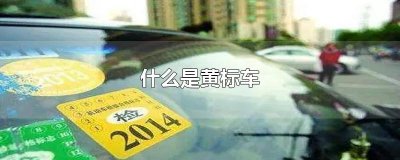 ​什么是黄标车