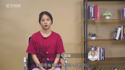 ​树洞是什么意思