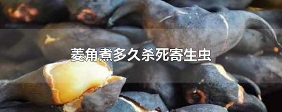 ​菱角煮多久杀死寄生虫