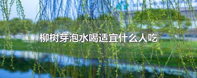 ​柳树芽泡水喝适宜什么人吃