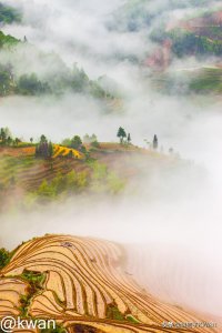 ​广西梯田龙脊梯田什么时候去最好（龙脊梯田最佳旅游时间）