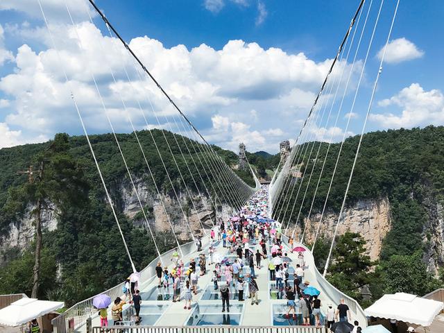 张家界旅游需要花费多少（张家界旅游最基础的开销明细完整版）(9)