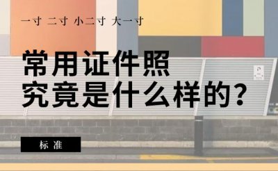 ​大一寸照片的尺寸是多少（常用证件照尺寸是什么样的）