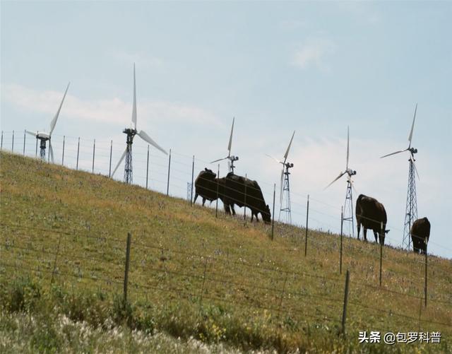 国家为什么普及小型风力发电（风力发电危害有多大）(5)