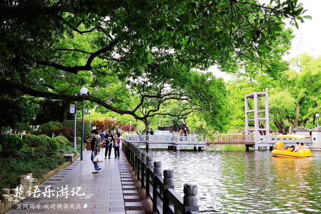 宁波旅游节免费景点大全（宁波旅游日来了）(17)