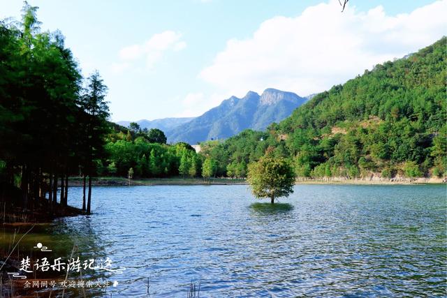 宁波旅游节免费景点大全（宁波旅游日来了）(5)