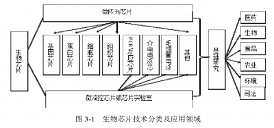 ​什么是生物芯片?其主要包括哪几类?（科技名词什么是生物芯片）