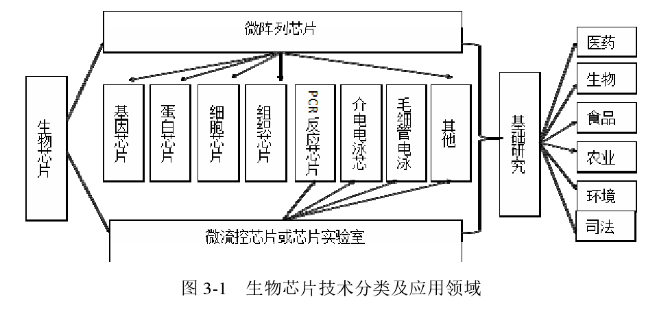 什么是生物芯片?其主要包括哪几类?（科技名词什么是生物芯片）