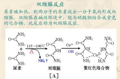 ​双缩脲反应是什么（双缩脲反应是什么意思）