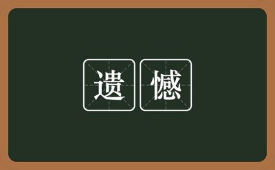 ​遗憾是什么意思（怎么理解遗憾）