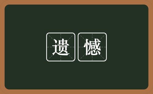 遗憾是什么意思（怎么理解遗憾）