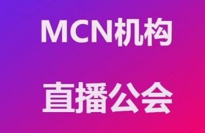 ​mcn机构是什么意思（mcn机构是干嘛的）