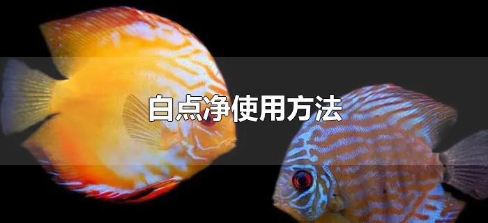 白点净使用方法