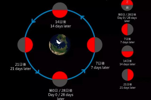 格利泽581d有外星人吗（超级地球格利泽581g）(5)