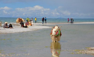 ​去西藏旅游 高原反应头疼的应对方法