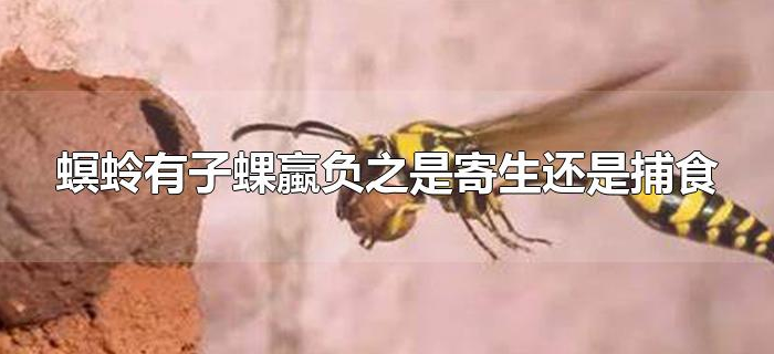 螟蛉有子蜾蠃负之是寄生还是捕食