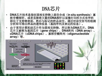 ​什么是基因芯片（基因芯片简单介绍）