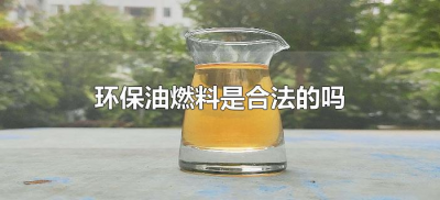 ​环保油燃料是合法的吗（环保油燃料是真的吗）