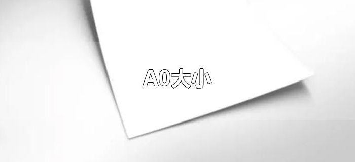 A0大小