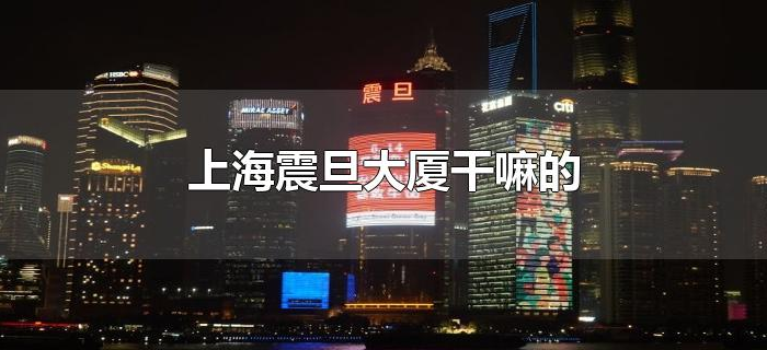 上海震旦大厦干嘛的