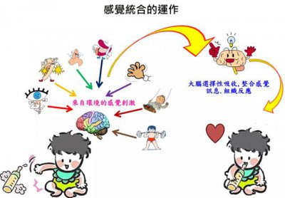 ​感统训练6-12岁运动（最全的1到12岁感统运动清单来啦）