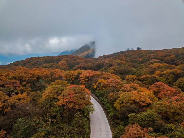 成都到峨眉山二日游路线攻略最新（14趟成都直达列车）(3)