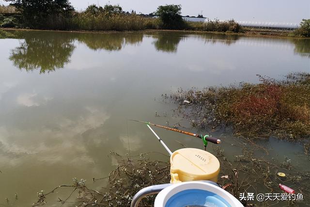 冬天钓鱼基本技巧（冬季钓鱼困难多）(2)