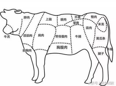 ​红烧牛肉的最好吃家常做法（正宗红烧牛肉的家常做法）