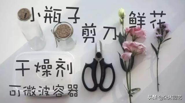 在家怎么自制简易干花（3分钟学会4种简单的干花制作）(2)