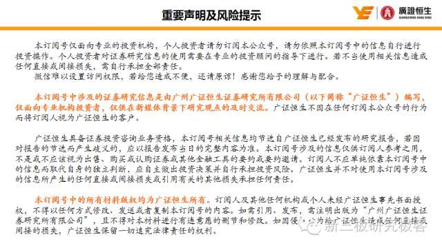 国网数字科技上市公司（新三板点将台华电电气）(10)