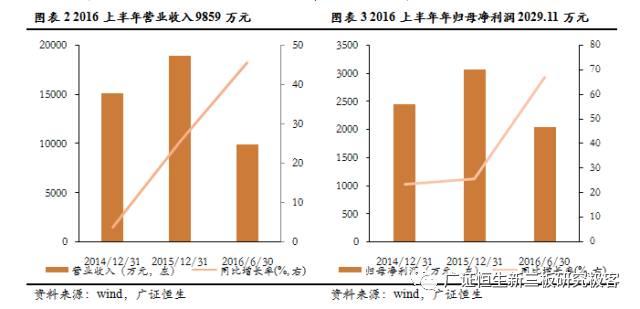 国网数字科技上市公司（新三板点将台华电电气）(7)