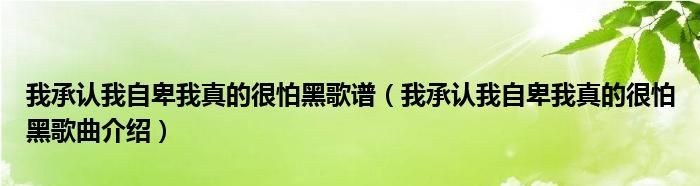 我承认我怕黑原唱是谁唱的