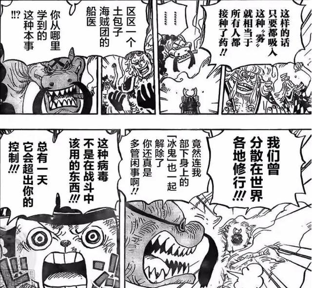 海贼王漫画1000话情报草帽路飞（锦卫门斩断凯多的龙息）(13)