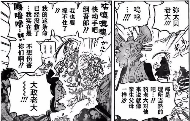 海贼王漫画1000话情报草帽路飞（锦卫门斩断凯多的龙息）(5)