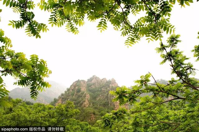 北京一日游必去的景点排名前十（北京适合一日游的免费景点）(15)