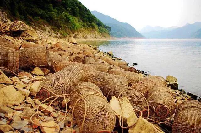 广东肇庆旅游必去十大景点简介（广东省肇庆市10个景点景观景区你去过几个）(30)