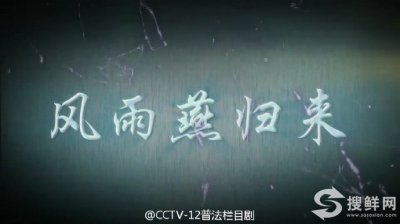 ​普法栏目剧《风雨燕归来》全集大结局剧情 cctv12风雨燕归来演员表