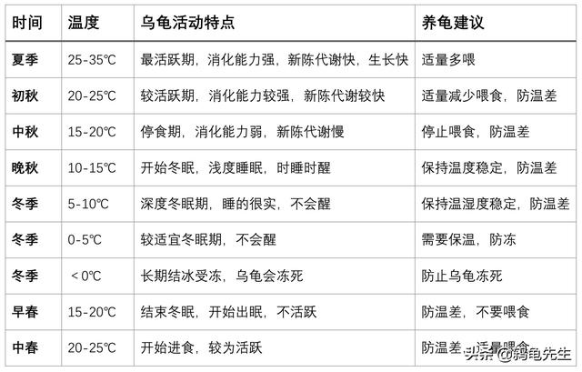 养龟的7大禁忌草龟（中华草龟太难养）(13)