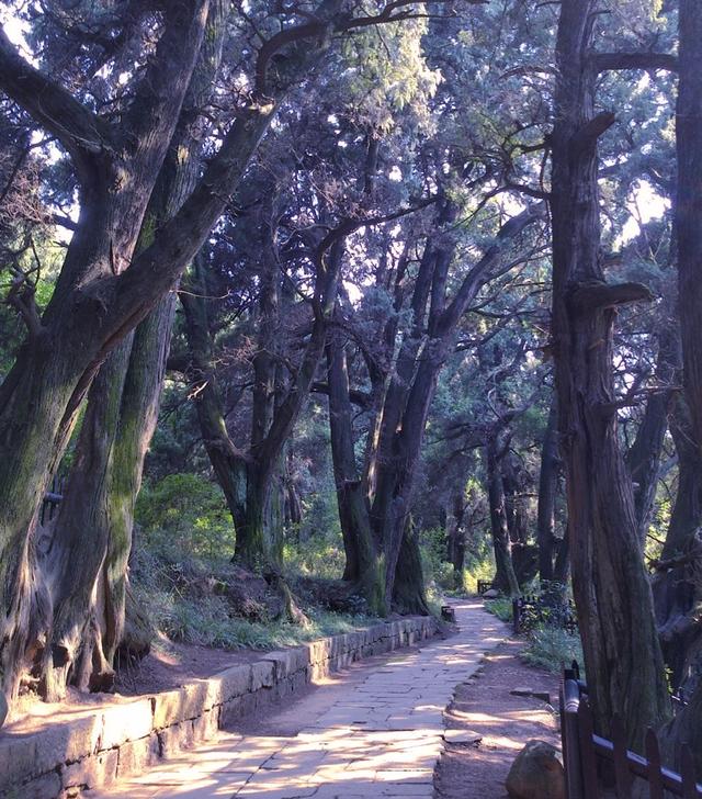 四川爬山小众景点剑门关（徒步四川最安静的蜀道）(11)