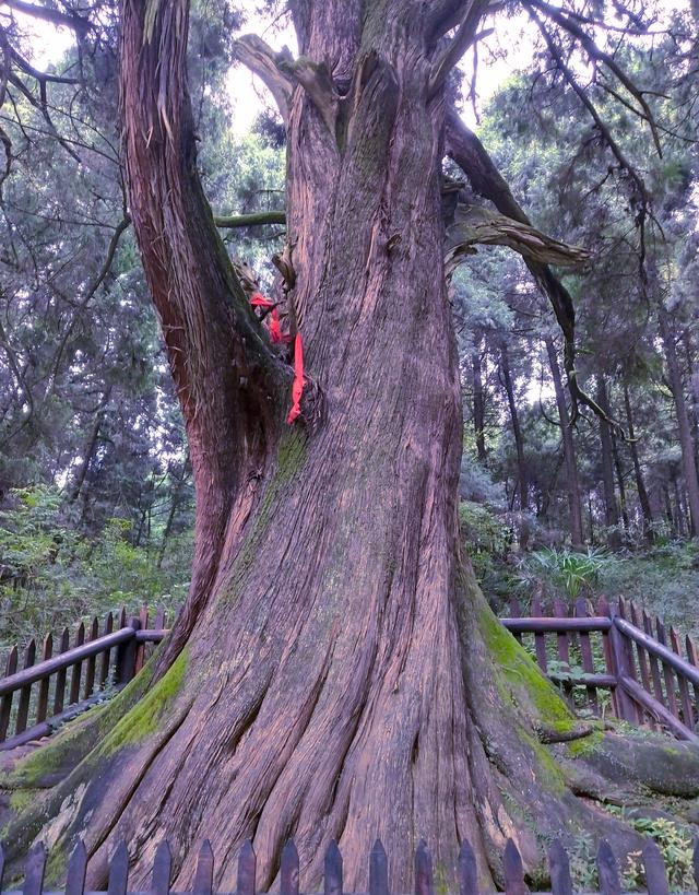 四川爬山小众景点剑门关（徒步四川最安静的蜀道）(5)