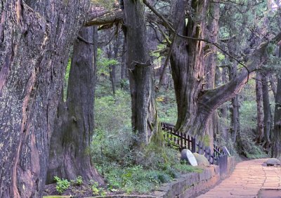 ​四川爬山小众景点剑门关（徒步四川最安静的蜀道）